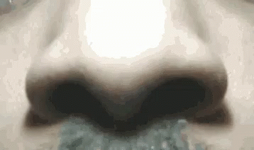 Nose Mustache GIF - Nose Mustache Breathing GIFs