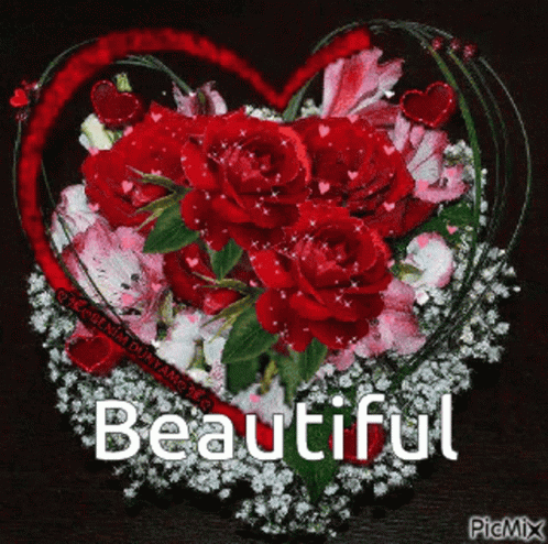 Beautiful Roses GIF - Beautiful Roses Pretty GIFs