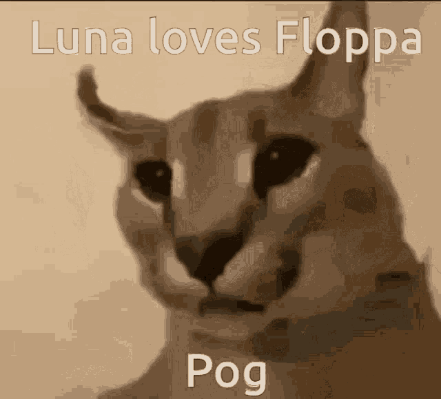 Luna Moss GIF - Luna Moss Floppa GIFs