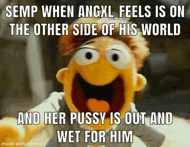 a muppet with a caption that says semp when angxl feels on the other side of his world