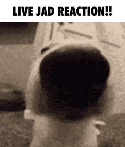 Jad Dog GIF - Jad Dog Cat GIFs