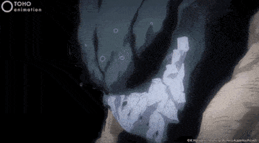 a close up of a person 's face with the words toho animation on the bottom