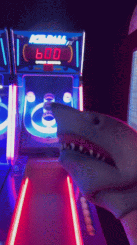 Shark Puppet Arcade GIF - Shark Puppet Arcade Skee Ball GIFs
