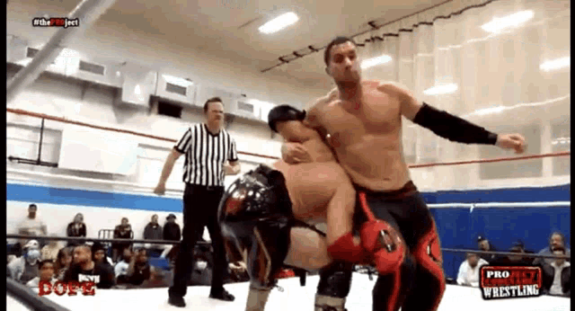 two men are wrestling in a ring that says pro wrestling on the bottom