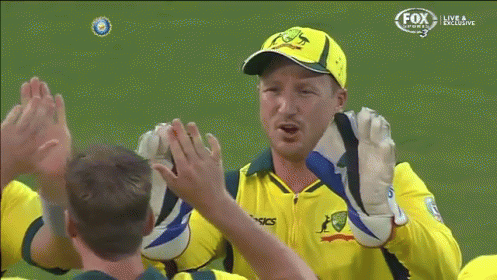 High-ive Goes Horribly Wrong GIF - Cricket High Five GIFs