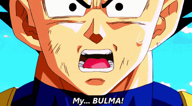 a close up of a cartoon character with the words my bulma