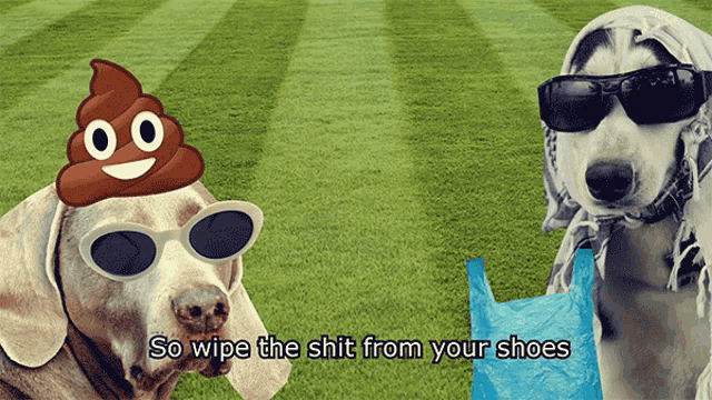 So Wipe The Shit From Your Shoes Oasis GIF - So Wipe The Shit From Your Shoes Oasis Hello GIFs