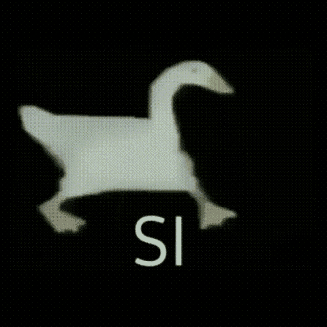 a white goose is standing on a black background with the word si in white letters .
