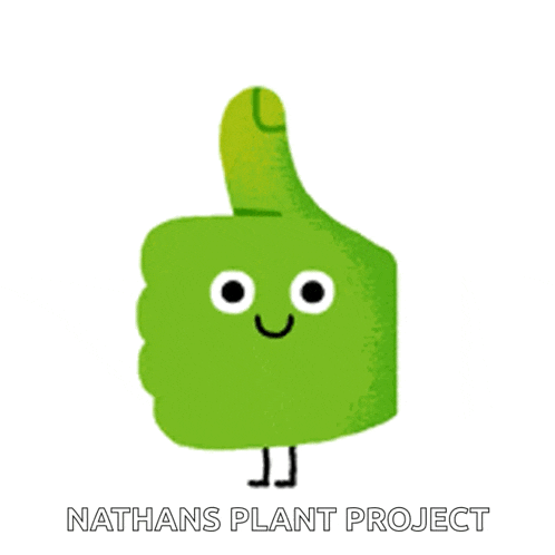 a green thumbs up with a smiling face and the words nathans plant project underneath it