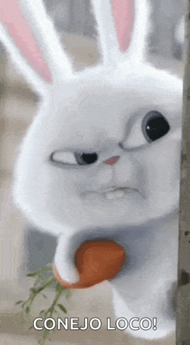 a white rabbit is holding a carrot in its paws and making a funny face .