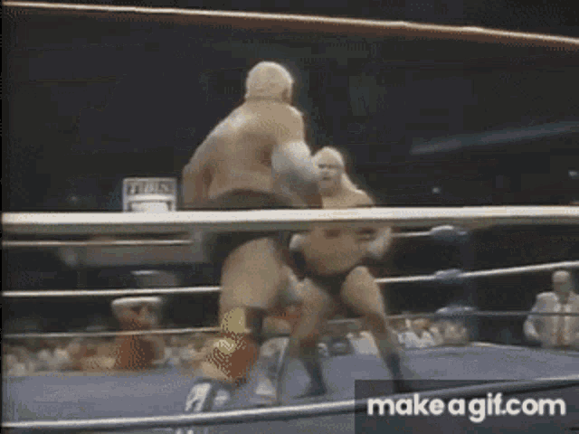 Wrestling Dusty Rhodes GIF