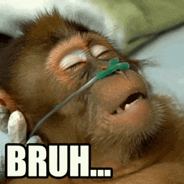 a picture of a monkey with an oxygen mask and the words bruh on it