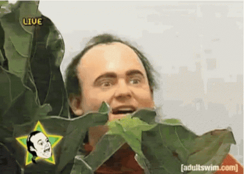 a man is eating a green leaf with a star on the bottom right that says adultswim.com