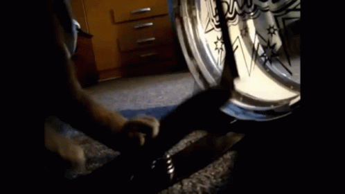 Drums Cat GIF - Drums Cat Cute GIFs