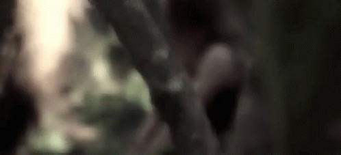Lost In The Forest Contemplating GIF - Lost In The Forest Contemplating Depressed GIFs