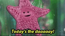 a pink starfish with a face and the words `` today 's the daaaay '' .