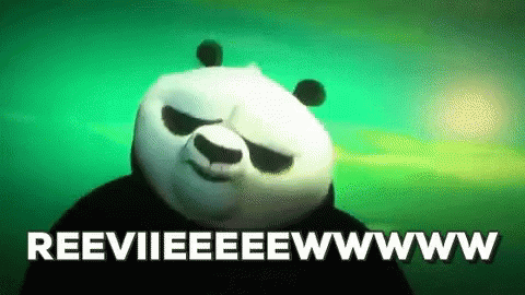 Kung Fu Panda Review GIF - Kung Fu Panda Review Po GIFs