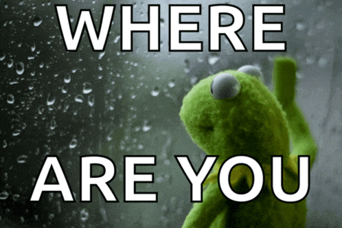 a kermit the frog is looking out a window with the words where are you above him