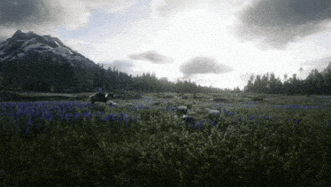 a man riding a horse in a field of flowers
