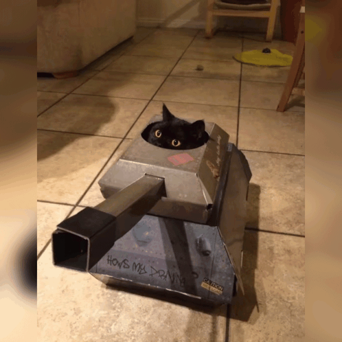 Cat Tank GIF - Cat Tank GIFs