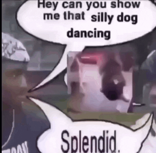 Dance Dog GIF - Dance Dog Splendid GIFs
