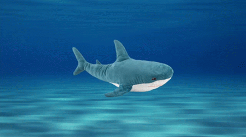 Shonk Shonks GIF - Shonk Shonks Shark GIFs