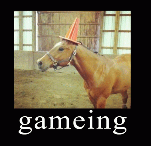 Gameing Horse GIF - Gameing Horse GIFs