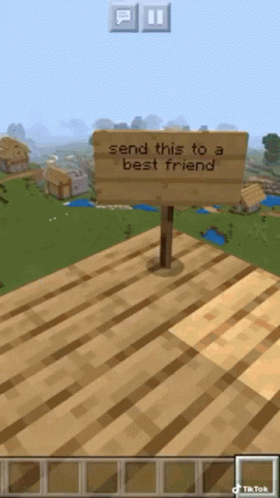Minecraft Video Game GIF - Minecraft Video Game Send This To A Best Friend GIFs