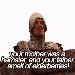a man in armor says your mother was a hamster and your father smelt of elderberries