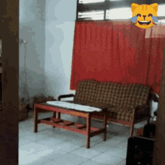 a living room with a couch and a table and a cat with tears in its eyes