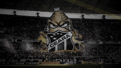a black and white photo of a soccer stadium with the word bora on the bottom