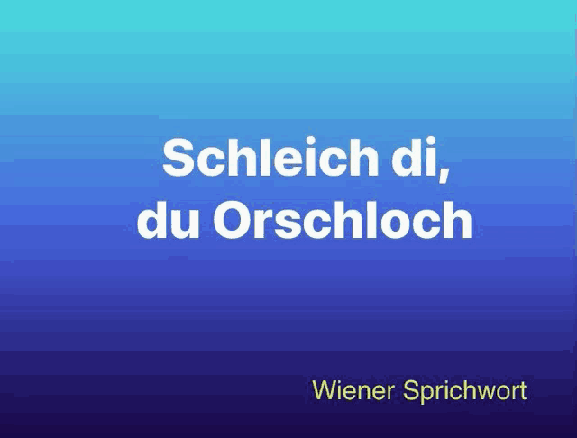 a blue background with the words schleich di du orschloch on it