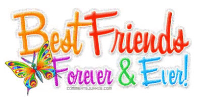 a picture of a butterfly with the words best friends forever & ever