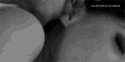 a black and white photo of a man kissing a woman 's neck .