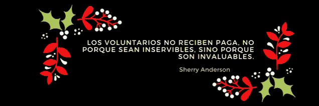 a sherry anderson quote is surrounded by holly and leaves