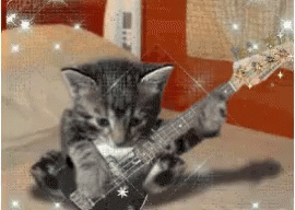 Kitten Rock Start GIF - Kitten Rock Start Rock Start Cat GIFs
