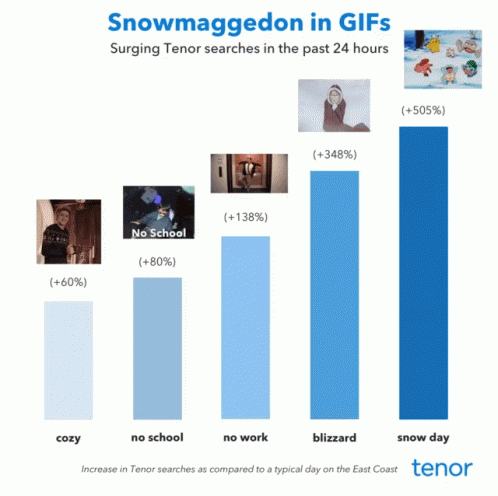 Snowmageddon GIF - Snowmageddon GIFs