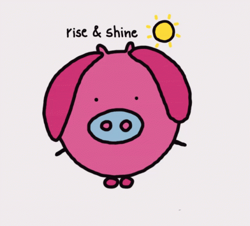 Pig Piggy GIF - Pig Piggy Cute Pig GIFs