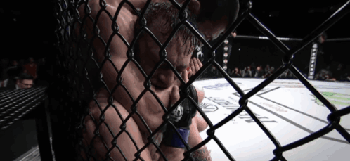 Conor Mcgregor Tapping GIF - Conor Mcgregor Tapping Tap Out GIFs