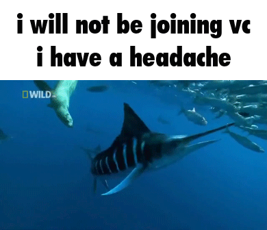 Fish Vc Headache GIF - Fish Vc Headache I Will Not Be Joining Vc GIFs