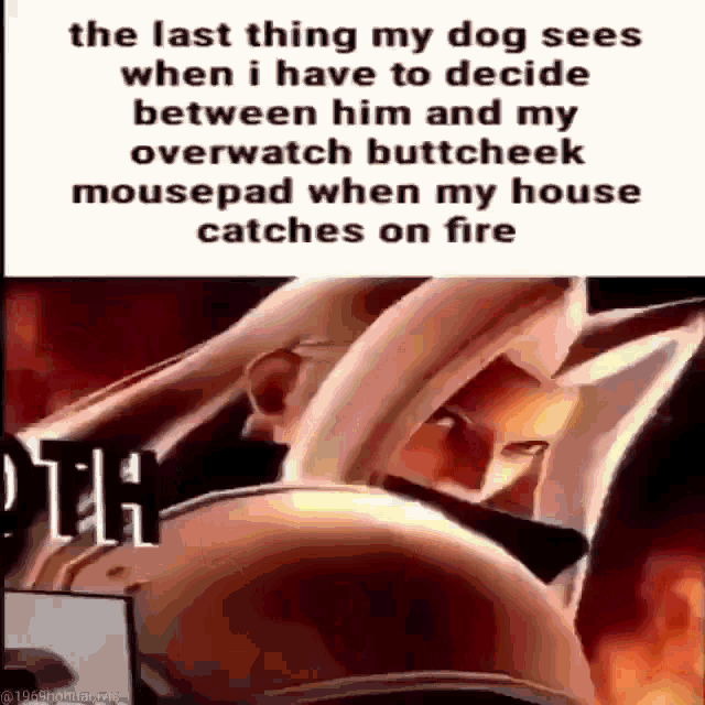 the last thing my dog sees when i have to decide between him and my overwatch buttcheek mousepad when