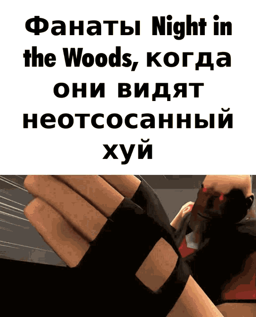 a poster that says night in the woods with a picture of a hand