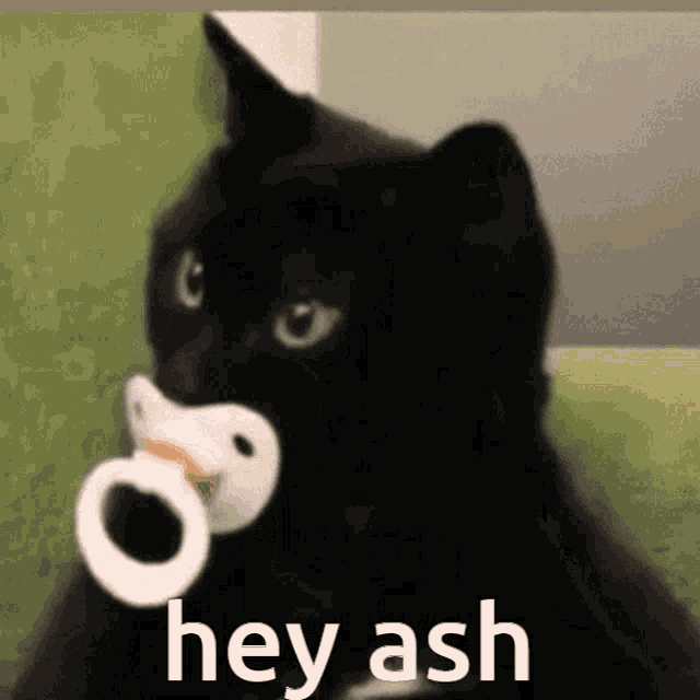 Hey Ash GIF - Hey Ash Hey Ash GIFs