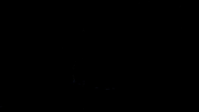 a black car is parked in a dark forest with trees in the background