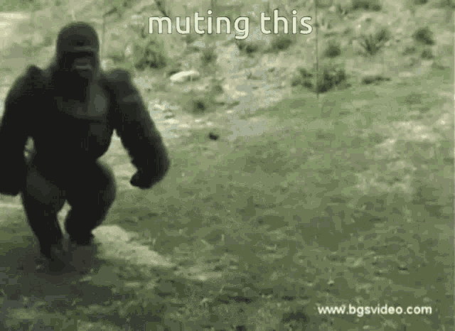 Muting This Muting Monkey GIF - Muting This Muting Monkey GIFs