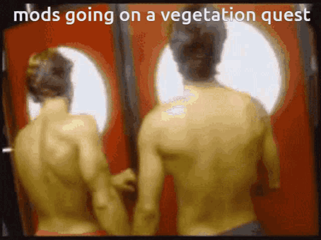 two shirtless men standing in front of a red door with the words mods going on a vegetation quest