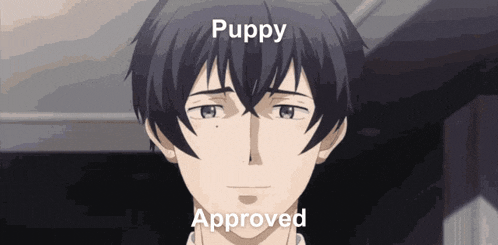 a close up of a person 's face with the words " puppy approved " on the bottom