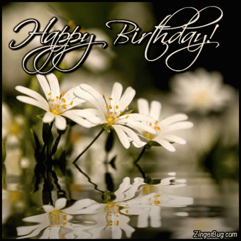 Happy Birthday Flowers GIF - Happy Birthday Flowers Reflection GIFs