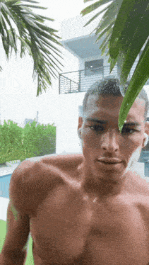 a man without a shirt is standing under a palm tree