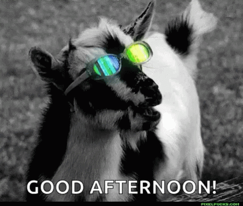 Goat Cool GIF - Goat Cool GIFs